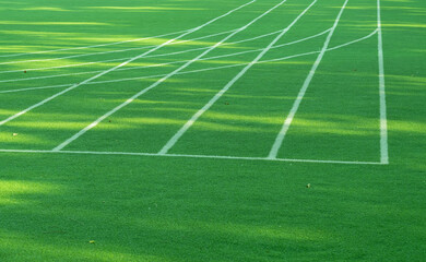 Obraz premium Green grass background, football field