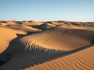 Fototapeta na wymiar Desert Sand Dunes Glamis