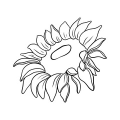 sunflower outline