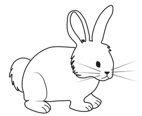 Linear drawing of cute lovely bunny, rabbit or hare. Easter symbol or mascot. Vector Ilustration isolated on white background.