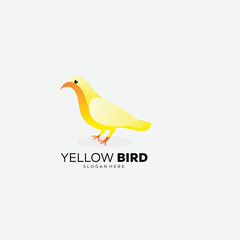 dove bird logo vector gradient colorful design