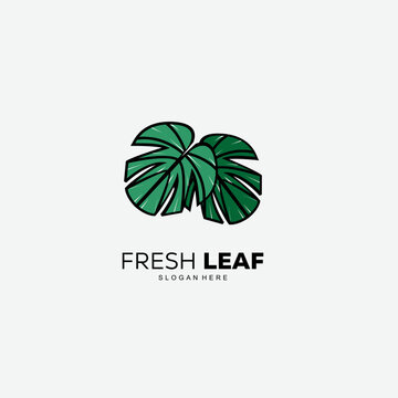 monstera leaf logo vector illustration design