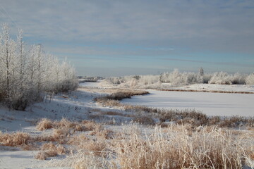 Winter In The Wetlands