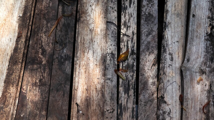 wood background and texture, old wood pattern