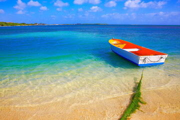 Secluded turquoise beach in Aruba, Caribbean Blue sea, Duth Antilles