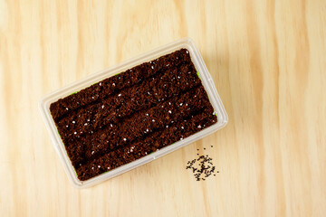 Seed starting mix containing coconut coir and perlite is used to sow onion seeds.