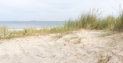 Beach near Swinoujscie on the island of Usedom on the Polish Baltic coast with ships in the...