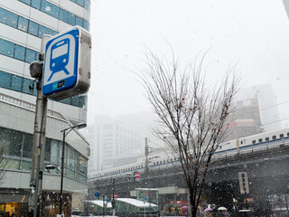 Obraz premium Snowy streets in Tokyo, Japan