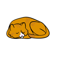 Cat sleeping