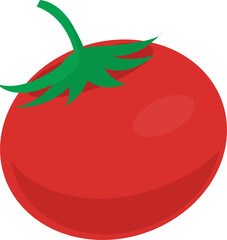 Tomato Vector
