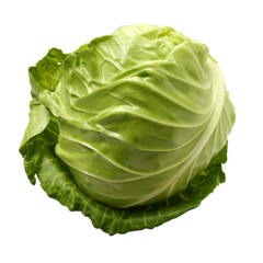 Fototapeta premium cabbage on a white background