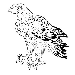鳥獣戯画　鷹