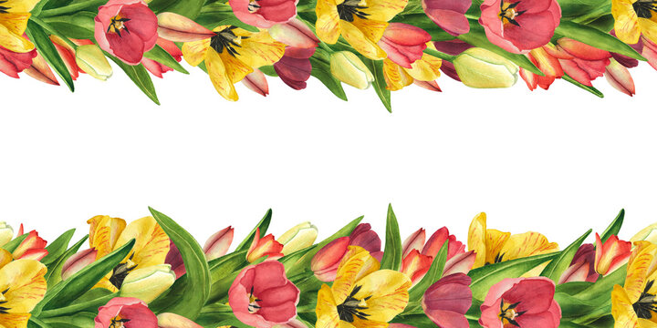 Seamless Border with Tulips yellow, red. Watercolor Illustration Easter floral for template, poster, womens day 8 march