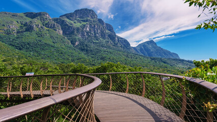 View of the boomslang walkway in the Kirstenbosch botanical garden in Cape Town, Canopy bridge at...