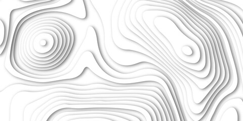 Abstract white paper cut shapes background with shadow and topography map concept, texture. Abstract realistic Papercut decoration background. Abstract papercut wavy line background.