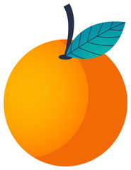 Orange Fruit Vector