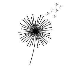 Vector Hand drawn sketch of dandelion flower illustration on white background