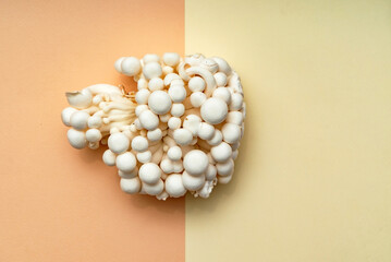 White Enoki Mushrooms, top view