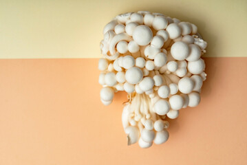 White Enoki Mushrooms, top view