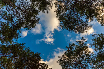 blue sky with cloud in winter