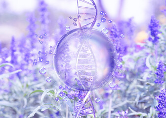 purple bubble on lavender field background
