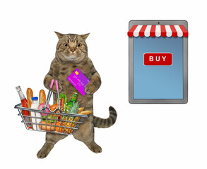 Cat with credit card buys groceries online