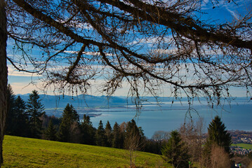Blick auf den Bodensee von Lutzenreute
