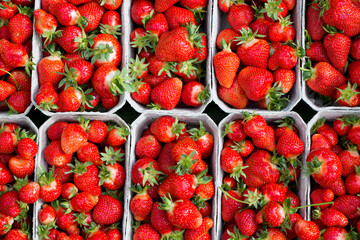 Fresh strawberries on regional market