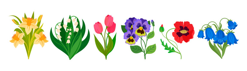 Cartoon spring wild flowers, colored floral set of spring floral and flower cartoon, blooming nature graphic illustration vector