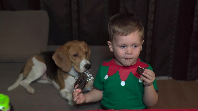 Baby in the New Year's Grinch Costume. Eats cookies. Beagle Dog Watching