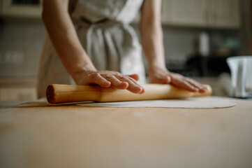 Woman rolling dough for dumplings in kitchen at home