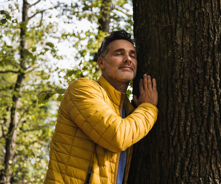 Smiling mature man hugging tree in forest