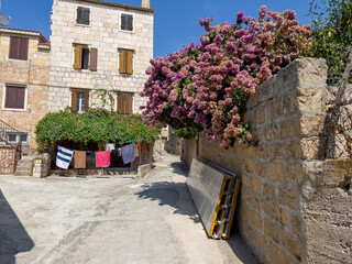 The houses of Vis with beautiful plants.
