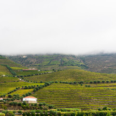 Obraz premium Views of the Portuguese nature