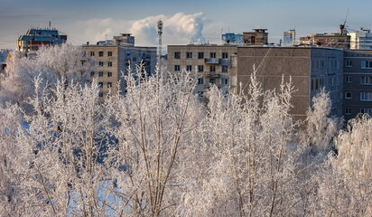 Branches of trees covered with frost on the background of multi-storey buildings of the city in winter