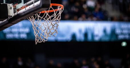 basketball game ball in hoop