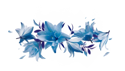 Foto op Canvas Border of flying blue lily flowers and petals, isolated © VICUSCHKA