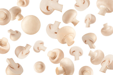 Falling mushrooms on white surface for advertisement