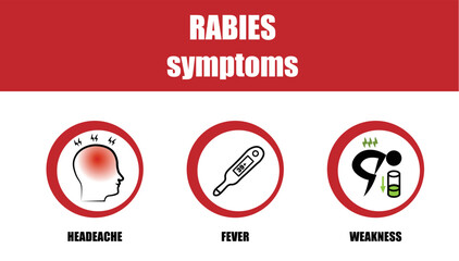 Rabies symptoms. Disease symptoms. Round icon