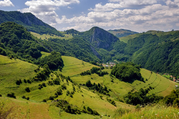 Obraz premium Idyllic landscape in the Alps with fresh green meadows and blooming flowers and mountain covered with trees in the background. Beautiful alpine summer view. Grassy field, rolling hills. Rural scenery