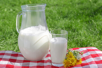 Jug and glass of fresh milk and flowers on checkered blanket outdoors