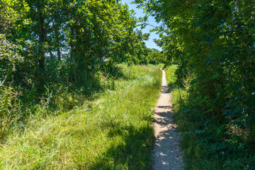 Optimal enjoyment of nature on these types of cycle paths, somewhere between Rietveld (Alphen) and Zwammerdam, the Netherlands