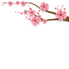 Sakura flower border frame design element vector art