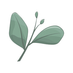 Art watercolor natural branches leave elements. Vector illustration