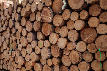 close up eines Holzstapels