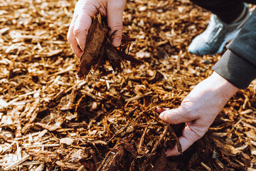 wood chips mulching composting. 