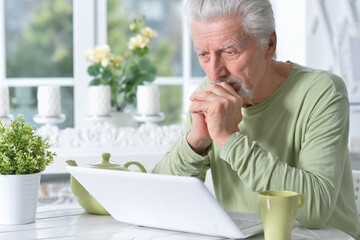 senior man posing and using laptop at home