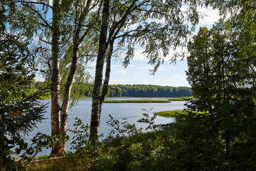 Landscape with lake, blue sky, clouds and trees. Beautiful nature landscape in a summer day