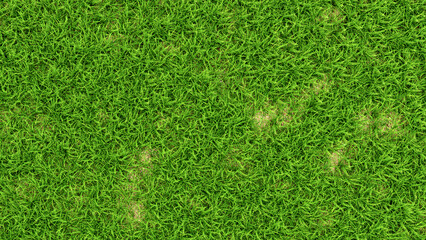 green grass background, top down view of green grass field