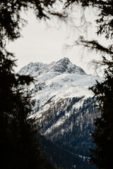 Snowy winter mountain framed with trees in cloudy weather